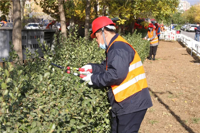 第三届门头沟区技能大赛园林绿化植物养护比赛圆满结束